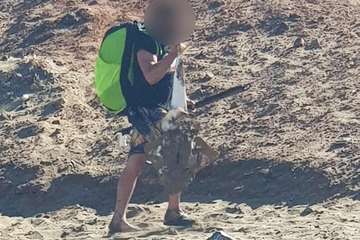 Un pescador submarino caza con fusil una especie protegida y la destripa a la vista de todos en Aguadulce/TA.